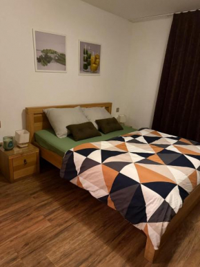 Apartmány Karlov Dvor